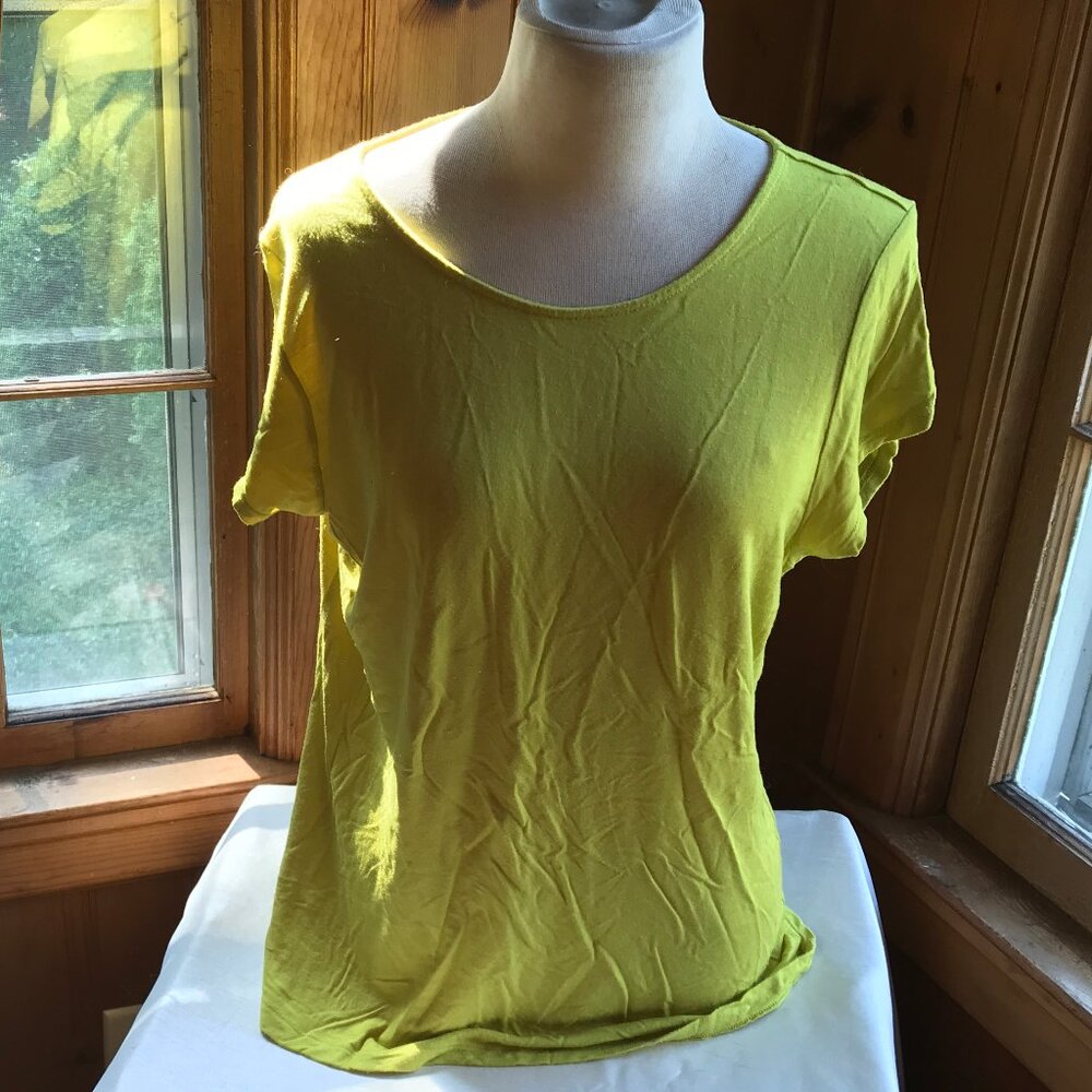 TAHARI light olive green short sleeve T-shirt in size XL.